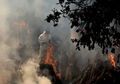 Banyak yang Salah Menafsirkannya, Inilah 5 Fakta Tentang Penyebaran Covid-19 di India, yang Ternyata Tak Seperti yang Anda Bayangkan