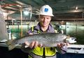 Tidak Perlu Jauh ke Atlantik, Salmon Bisa Dibudidayakan di Darat