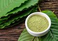 Kratom Jarang Digunakan di AS, tapi Familiar bagi Para Pencandu Opioid