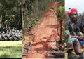 Tertutup Rapat 'Desing Peluru' Konflik TNI Vs KKB, Siapa Sangka Tanah Papua Tengah Memanas oleh Nafsu Makelar Malaysia yang Bernafsu Babat Habis Belantara Bumi Cenderawasih