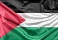 Diduduki Banyak Pasukan Asing hingga Baknya Medan Perang, Ini Bahasa Asing yang Sering Digunakan di Palestina, Bahkan Anak-anak Palestina Fasih Sejak Dini!