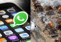 Seakan-akan Perjuangan India Sia-Sia, Ini Penyebab Upaya Melawan Covid-19 di India Semakin Sulit