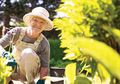 Koma Tiga Minggu Bahkan Harus Diamputasi, Nenek ini Rasakan Hal Terberat dalam Hidupnya Akibat Hobi Berkebun, Ini Sebabnya!