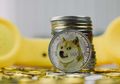 Inilah Tiga Cara Mudah Mining Dogecoin, Termasuk Plus Minusnya