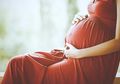 Kekurangan Protein Selama Kehamilan Berisiko Timbulkan Masalah Ginjal Pada Anak Kelak, Studi