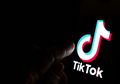 Rekomendasi 3 Web Download Video TikTok Tanpa Watermark, Coba Yuk!