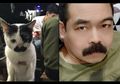 5 Kucing yang Mirip Seleb Indonesia, dari Mas Adam Suseno Hingga Reza Arap