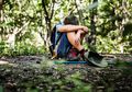 Lagi Tidur Malam, Pria ini Tetiba Mimpi Tersesat di Hutan Dongeng, Esoknya Cita-citanya Berhasil Terwujud, Ternyata ini Tafsir mimpi Tersesat di Hutan