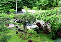 Bikin Carport Cantik, Rindang, dan Teduh dengan Selimut Tanaman