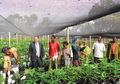 Teknologi Canggih Israel 'Sulap' Negara Miskin di Afrika Jadi Ladang Pangan Makmur