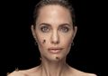 Angelina Jolie 'Godmother' Lebah Ikuti Melindungi Lebah Dunia