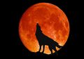 Kisah-Kisah Werewolf Pada Dunia Nyata dan Penjelasan Medisnya