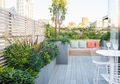 Jangan Langsung Beli Pendingin Ruangan, Ternyata Cuaca Ekstrim Bisa Dihalau Pakai Roof Garden, Gimana Caranya?