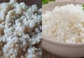 Pantas Saja Ampuh Banget! Ternyata Kandungan Gizi Nasi Sorgum Ampuh Kurangi Gula dan Risiko Penuaan Dini