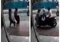 Rebutan Harta Warisan, Pria ini Sampai Nekat Tabrak Saudarinya Sendiri Pakai Motor Hingga Terjungkal, Netizen Pun Murka: Astaghfirullah Karena Harta Jadi Buta Sama Keluarga