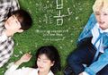 Sinopsis Drakor At A Distance, Spring Is Green, Simak Sebelum Download