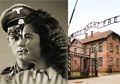 Kisah Cinta Auschwitz; Antara Nazi Penjaga Kamp Konsentrasi dan Tahanan Yahudi, yang Justru Selamatkan Nyawa Wanita Yahudi dan Keluarganya