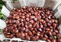 Masalah Sebagian Warga Indonesia Terpecahkan, Ternyata Semudah Ini untuk Mengatasi Bau Jengkol dan Petai