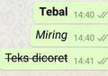 Cara Mudah Mengubah Huruf di WhatsApp Jadi Miring, Tebal, Dicoret