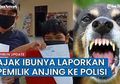 Sok-sokan Tantang Keluarga Korban hingga Mengaku Tidak Takut dengan Bobby Nasution, Nyatanya Pemilik Anjing yang Anjingnya Gigit Bocah 10 Tahun hingga Tewas Mendadak Kabur