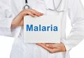 5 Komplikasi Malaria, Penyakit Infeksi yang Bisa Sebabkan Koma dan Kematian