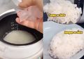 Nasi Dijamin Jadi Next Level! Coba Masukkan Es Batu Saat Masak Beras di Rice Cooker, Hasilnya Bikin Serumah Ketagihan!