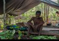 Terpaksa Simpan Uang Rp 1,5 Miliar Dalam Tanah di Hutan, Suku Anak Dalam Ini Ditolak Bank untuk Menabung atau Pinjam Uang guna Penghijauan Hutan