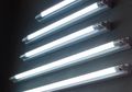 Bahaya Lampu Neon Terhadap Kesehatan, Bisa Sebabkan Penyakit Serius