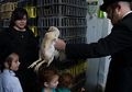 5 Tradisi Unik di Israel yang Bisa Anda Saksikan Selama Hari Raya Yahudi, Salah Satunya Ayam Sebagai Penebus Dosa Tahunan