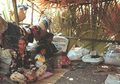 Mati-matian Pilih Indonesia Saat Referendum, Begini Nasib Mengenaskan Warga Asli Timor Timur di Tanah Air, Ngaku Salah Pilih dan Ingin Kembali ke Timor Leste