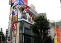 Nongkrong di Billboard, 'Kucing Raksasa' Ini Jadi Perhatian Warga Tokyo