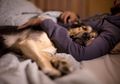 Mulai Lindungi Hewan Peliharaan Anda, Peneliti Ungkap Kucing dan Anjing Punya Resiko Tinggi Tertular Covid-19 dari Pemiliknya, Berikut Tips Mencegahnya