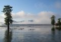 Jadi Rumah Bagi Banyak Buaya, Inilah Danau Ira Lalaro di Timor Leste, yang Juga Rumah untuk Hutan Setengah Cekung yang Spektakuler