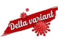 Seberapa Bahaya Infeksi Varian Delta? Bagaimana Cara Perawatannya?