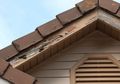 Jangan sampai Hancur, Ini Cara Merancang Atap Rumah agar Bebas Rayap