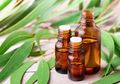 Hati-hati Ini yang Terjadi di Tubuh, Pikir Sekali Lagi Jika Ingin Konsumi Minyak Kayu Putih untuk Obat Covid-19