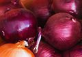 Hanya dengan Rajin Mengoleskan Bawang Merah ke Punggung Tangan, Ternyata Punya Manfaat Menakjubkan Ini
