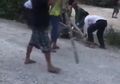 Miris, Pria yang Harus Isolasi Mandiri Karena Positif Covid-19 Malah Diikat dan Dipukuli Ramai-ramai Bak Binatang, Keluarga Langsung Tuntut Keadilan