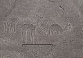 Nazca Line, Garis Raksasa di Peru Yang Diyakini Pesan untuk Alien