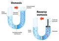 Air Berkualitas Sehatkan Tubuh, Ini Beda Penjernihan Air Sistem Reverse Osmosis Vs Sistem UV
