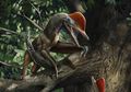 Monkeydactyl dari Tiongkok, Dinosaurus Terbang Bisa Panjat Pohon