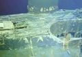 Kisah Stickleback, Kapal Selam Perang Dunia II yang Hilang, Selama 62 Tahun ‘Bertahan’ di 3.500 Meter di Bawah Permukaan Laut