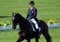 Sekilas Cuma Tampak Bersolek Bersama Kuda, Ternyata Biaya Olahraga Berkuda di Olimpiade Tokyo 2020 Setara dengan Gaji Minimal Komisaris Telkom, Apa Bedanya dengan Berkuda Biasa?
