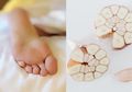 Mulai Malam Ini Coba Letakkan Bawang Putih di Telapak Kaki Sebelum Tidur, Dijamin 3 Manfaat Luar Biasa Ini Langsung Terasa pada Tubuh Keesokan Paginya, Jangan Sampai Nyesal
