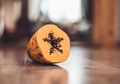 Tukang Buah Se-Indonesia Kompak Membuangnya ke Tempat Sampah, Nyatanya Biji Pepaya Punya Manfaat Luar Biasa, Termasuk Musnahkan Jamur dan Parasit