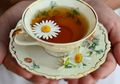 Tak Hanya Soal Kasur atau Kamar yang Nyaman, Salah Satu Jenis Teh Herbal Ini Mujarab Atasi Insomnia dan Tingkatkan Kualitas Tidur