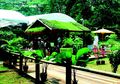 Tampil Natural dan Biaya Lebih Terjangkau, Yuk Kenali Pembuatan Taman Atap dengan Sistem Gardenroof