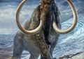 Peneliti Ungkap Mobilitas Mamut Berbulu di Alaska Melalui Gadingnya
