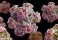 Penyakit Infeksi Human Papillomavirus Tidak Dapat Diobati, Tapi Bisa Dicegah dengan Cara Berikut