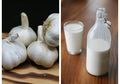 Nanti Malam Harus Coba, Minum Campuran Susu dan Bawang Putih Setelah Makan Malam, Ini yang Akan Terjadi pada Tubuh